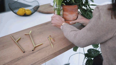 Etape 1: Placez votre plante aromatique ou plante décorative dans le pot en terre cuite